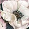 Anemone Study III Poster Print by Carol Robinson - Item # VARPDX18447